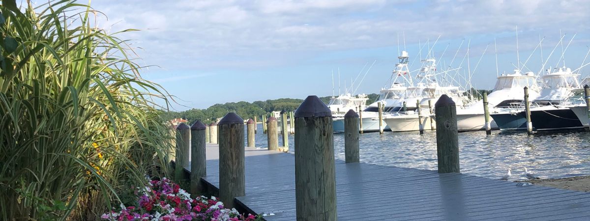 The Dockside Bar and Grill 